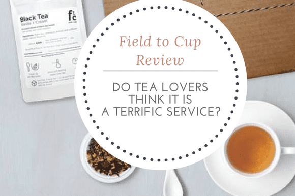 Field to Cup Review: Do Tea Lovers Think It Is A Terrific Service?