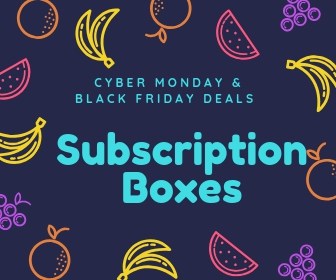 cyber monday and black friday deals on subscription boxes