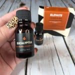 Way of Will Elevate Essential Oil Set