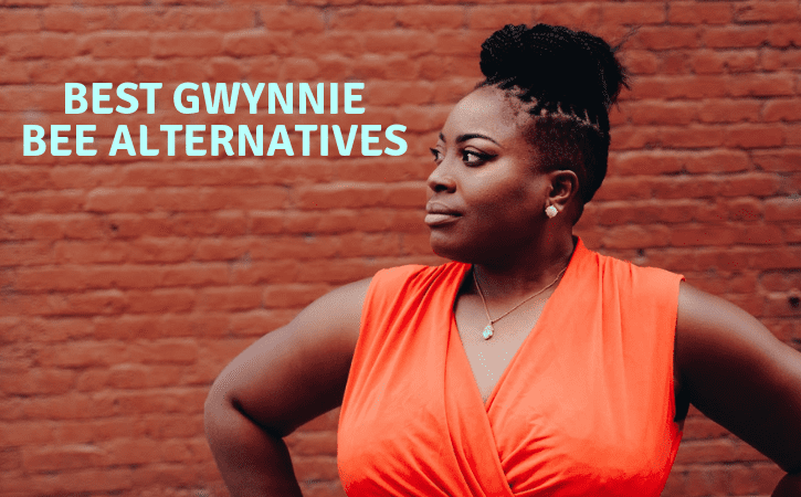 Best Gwynnie Bee Alternatives