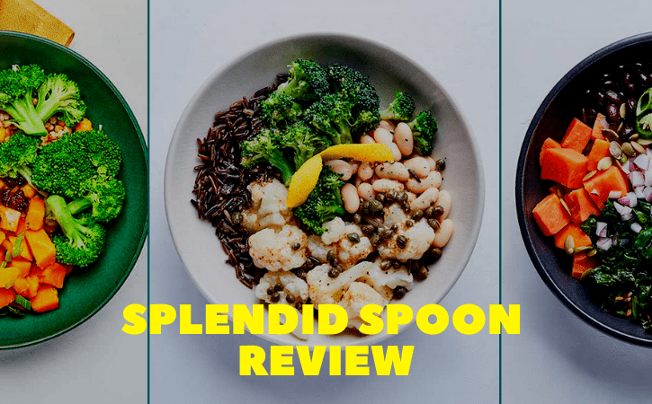 Splendid Spoon Review