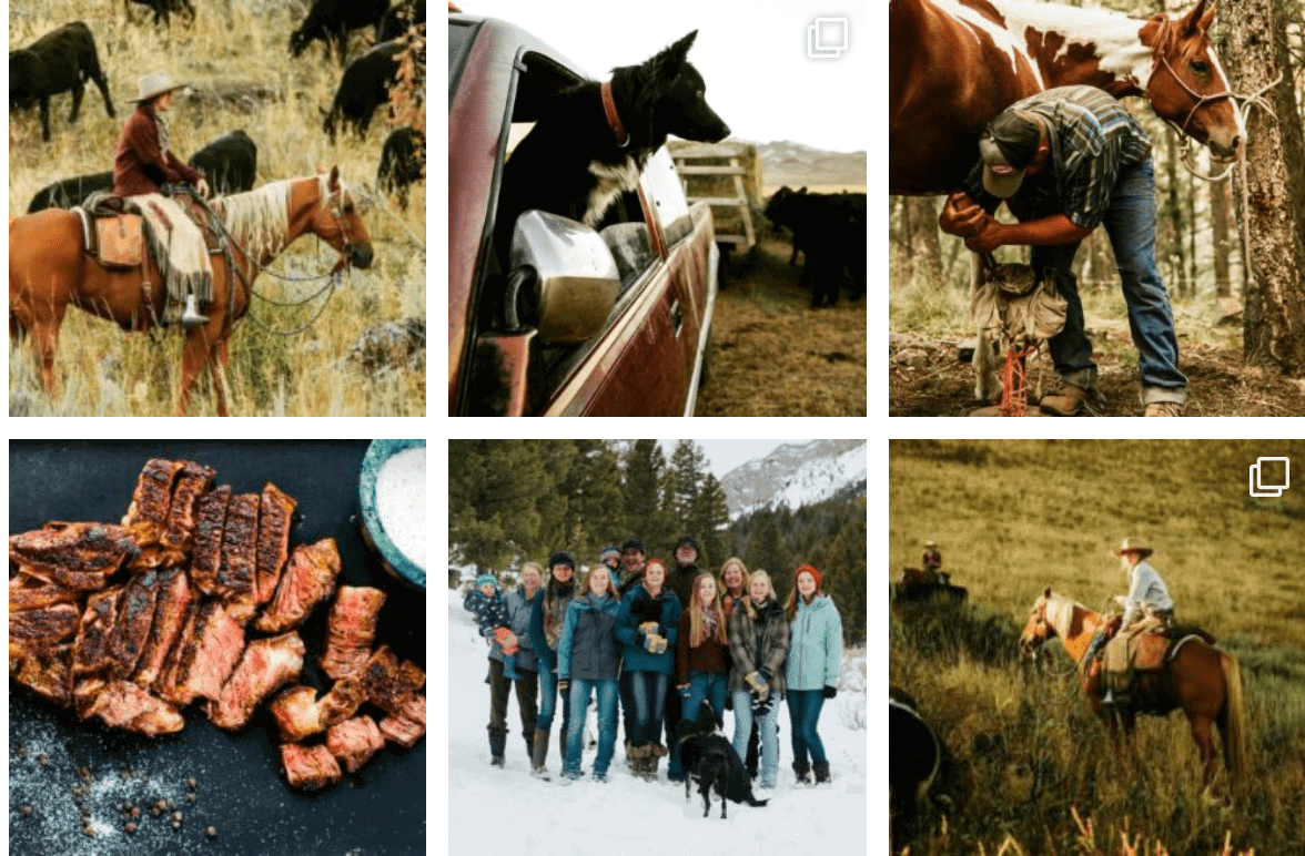 Alderspring Ranch Review