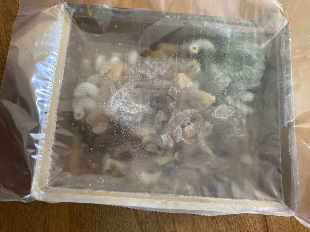 Mosaic Frozen Butternut Squash & Sage Pasta