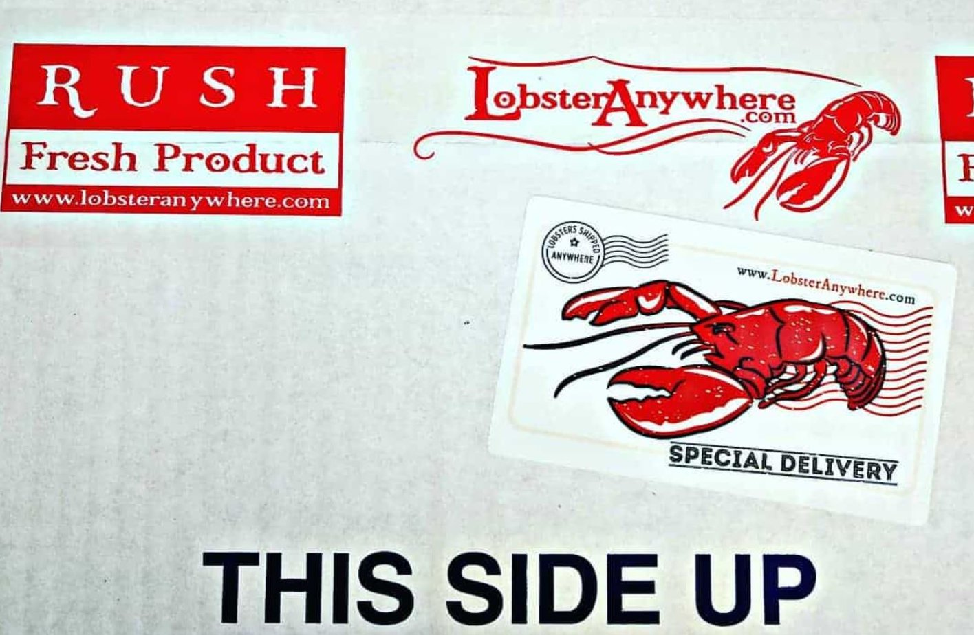 Lobster Anywhere Packing Delivery Box