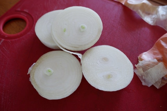every plate onions